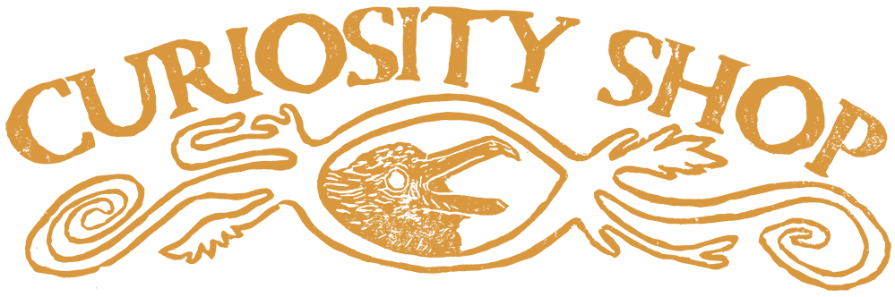 Curiosity Shop